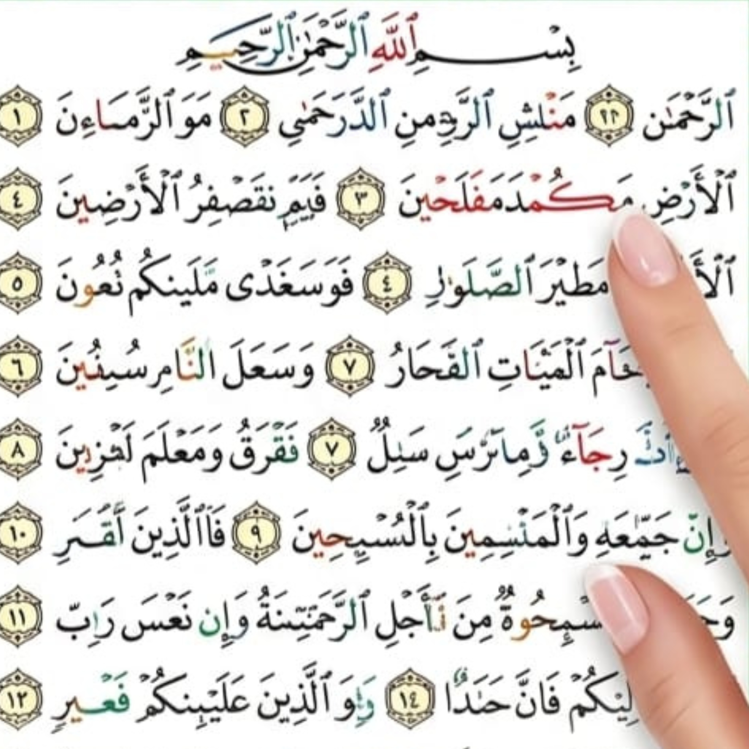 Quran with Tajweed